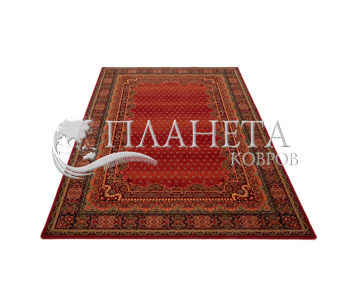 Шертяний килим Polonia Baron Burgund - Висока якість за найкращою ціною в Україні